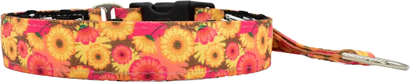 1" Hothouse Flowers Everyday Private Trainer