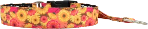 1" Hothouse Flowers Everyday Private Trainer