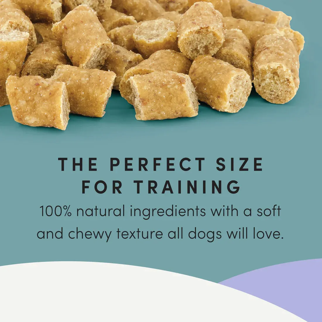Crumps - Mini Trainers - Duck Dog Treats