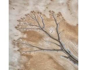 DISPERSION. Wall Art