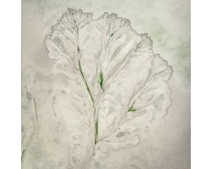 FLOURISH. Wall Art