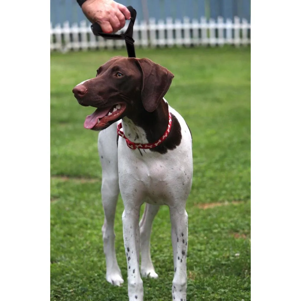 Traffic Handler - Heavy Duty Short Dog Leash for Large Dogs