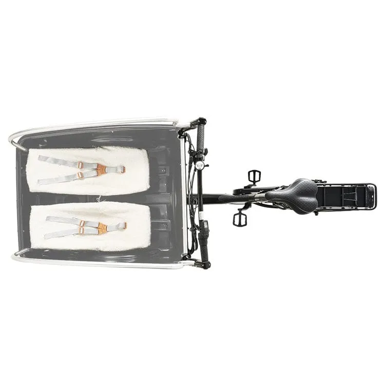 Winther E-Assist Cargoo - Nexus 5